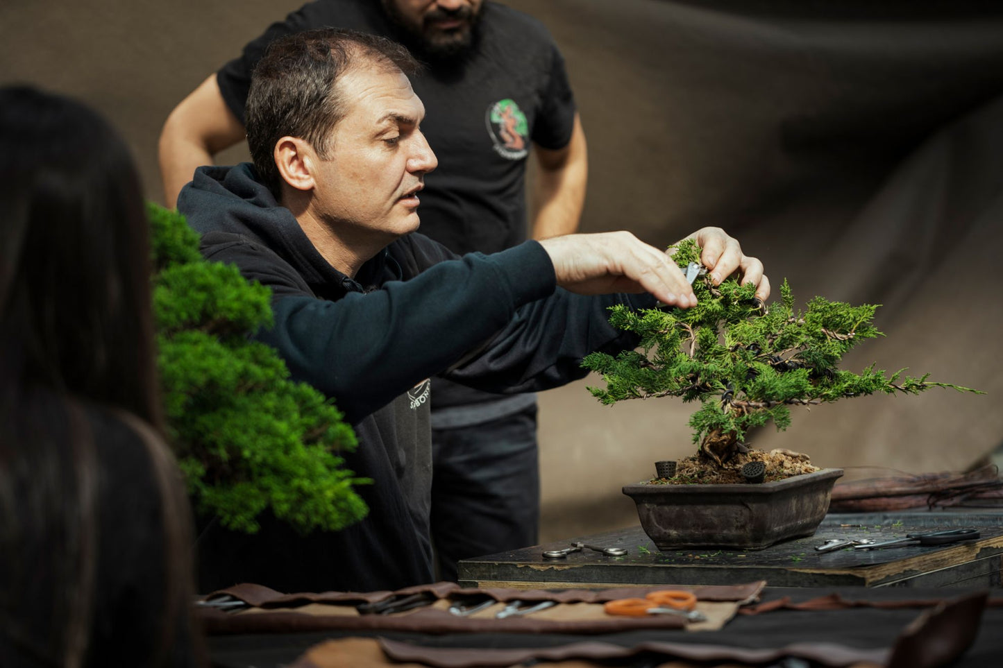 Become a Bonsai Tree Artist, Course Led Online by Bonsai Master Artists